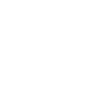 Home Button